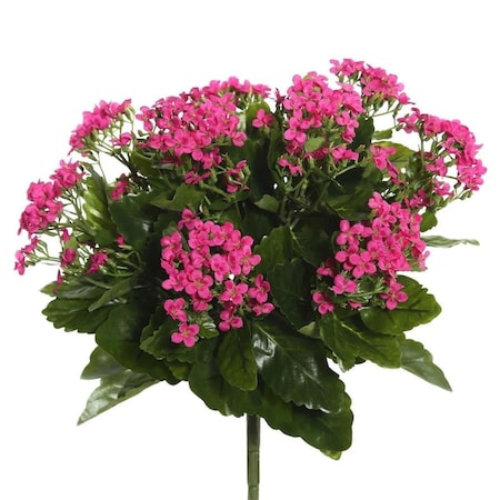 Dare2Decor 15.5 in.Hot Pink Kalanchoe Bush DA1236106